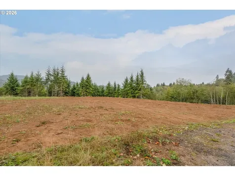 307 Greenwood Road Cathlamet WA 98612
