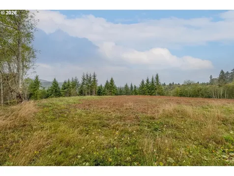 307 Greenwood Road Cathlamet WA 98612