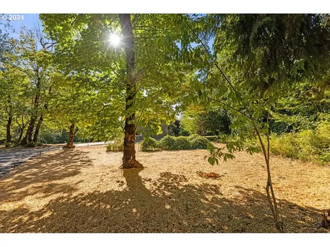 22202 Ne 84th Avenue Battle Ground WA 98604