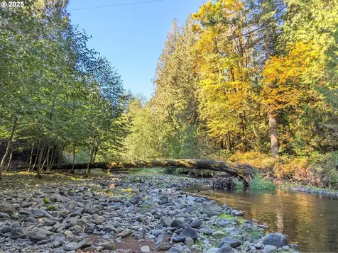 59255 NW Cedarbrook Lane Gales Creek OR 97117