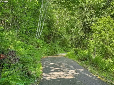 295 Mcadams Road E Longview WA 98632