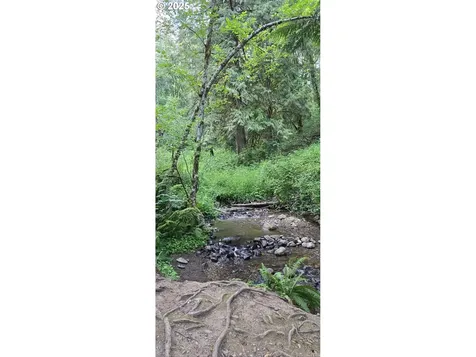 1042 57th Street Washougal WA 98671