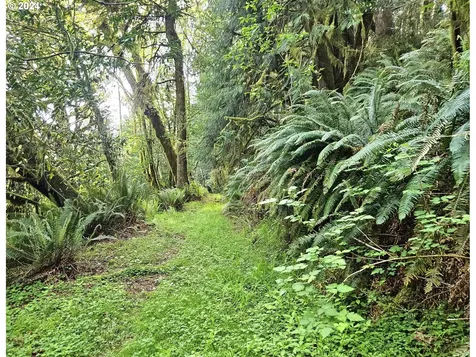 96459 Wren Smith Road Coos Bay OR 97420