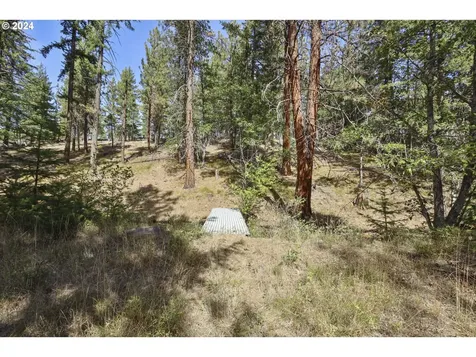 77427 Highway 216 Maupin OR 97037