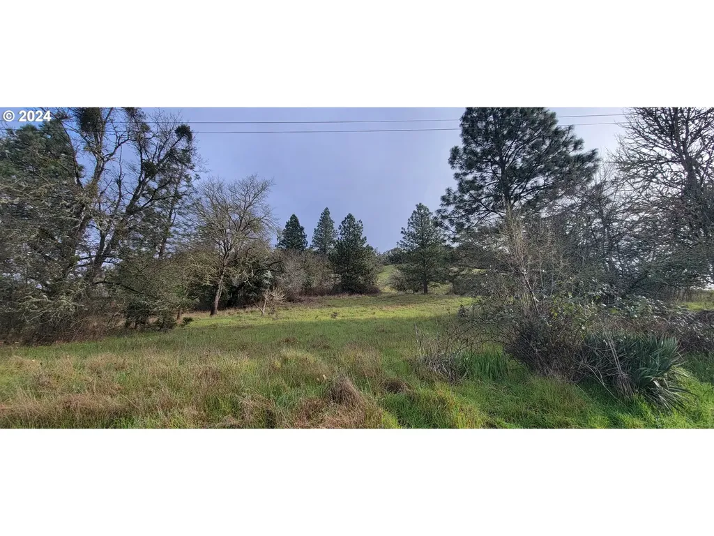 SE Ardis Avenue Myrtle Creek OR 97457