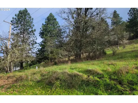 SE Ardis Avenue Myrtle Creek OR 97457