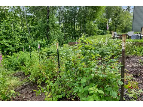 36414 SE 1st Street Washougal WA 98671