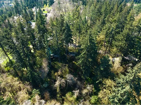 5232 Madrona Heights Drive Ne Silverton OR 97381