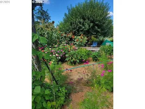 32633 Glaisyer Hill Road Cottage Grove OR 97424
