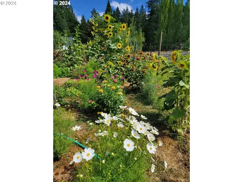 32633 Glaisyer Hill Road Cottage Grove OR 97424