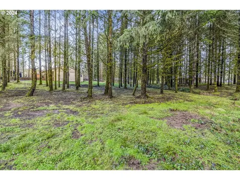 249 Tara Lane Vader WA 98593