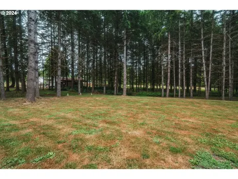 249 Tara Lane Vader WA 98593