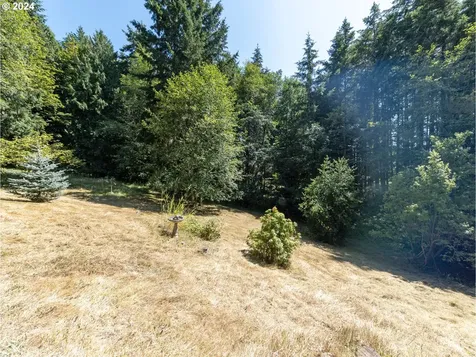 1567 Heather Lane Vernonia OR 97064