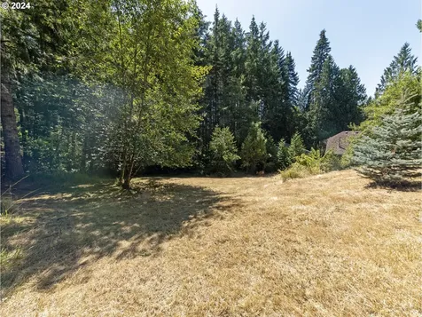 1567 Heather Lane Vernonia OR 97064