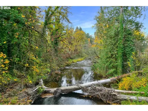 39956 Little Fall Creek Road Fall Creek OR 97438