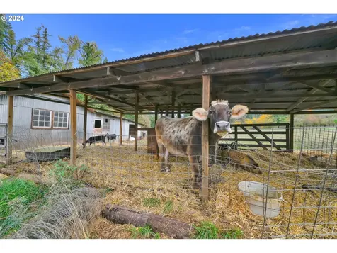 39956 Little Fall Creek Road Fall Creek OR 97438