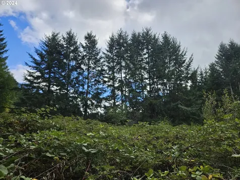 20812 Blodgett Road Blodgett OR 97326