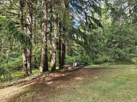 20812 Blodgett Road Blodgett OR 97326