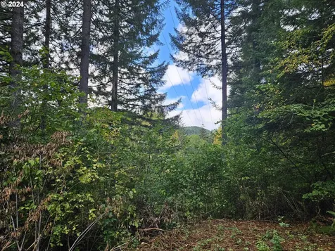 20812 Blodgett Road Blodgett OR 97326