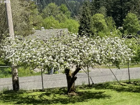 3318 SE Woodburn Road Washougal WA 98671