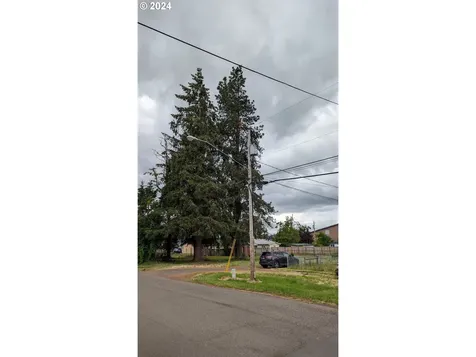 644 Mary Neal Lane Creswell OR 97426
