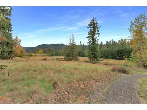40089 Little Fall Creek Road Fall Creek OR 97438