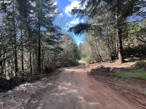 57464 Cherry Creek Road Myrtle Point OR 97458