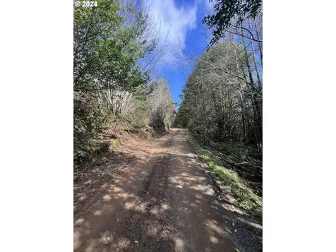 57464 Cherry Creek Road Myrtle Point OR 97458