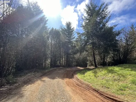 57464 Cherry Creek Road Myrtle Point OR 97458