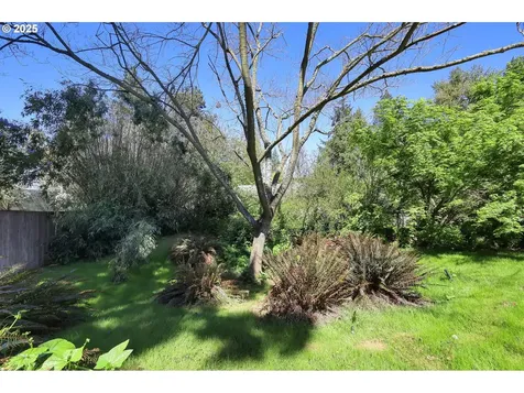 1656 Russet Drive Eugene OR 97401