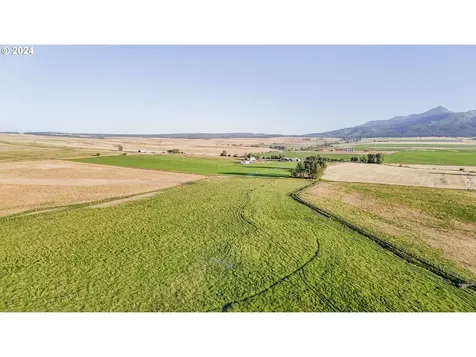 66437 Lathrop Road Joseph OR 97846