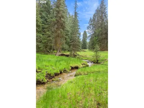12763 Bulger Flat Lane Haines OR 97833
