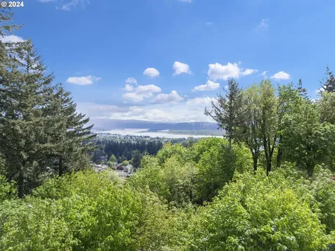 2054 Nw Fargo Loop Camas WA 98607