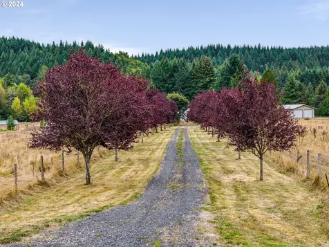 143 Smokey Valley Road Toledo WA 98591