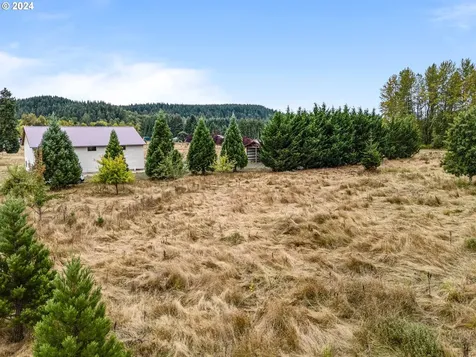 143 Smokey Valley Road Toledo WA 98591