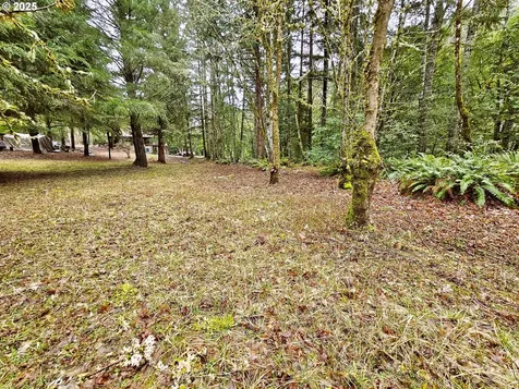 10040 Tyee Road Umpqua OR 97486