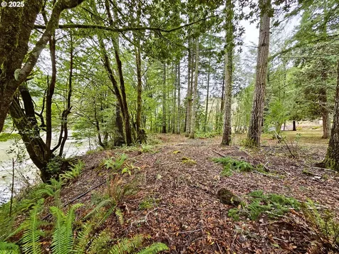 10040 Tyee Road Umpqua OR 97486