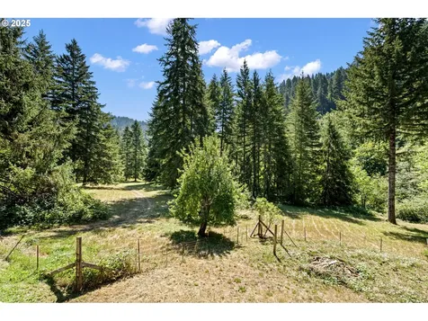 89731 Indian Creek Road Swisshome OR 97480