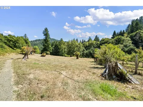 89731 Indian Creek Road Swisshome OR 97480