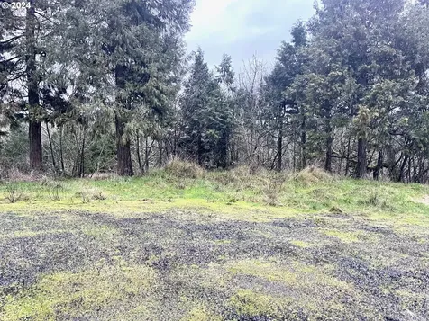 28597 Santiam Highway Sweet Home OR 97386