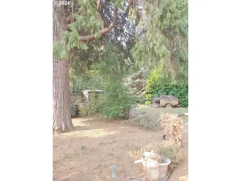 1728 Hawthorne Street Forest Grove OR 97116