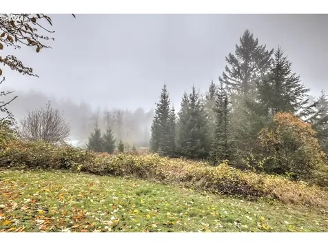 25799 NW Green Mountain Road Banks OR 97106
