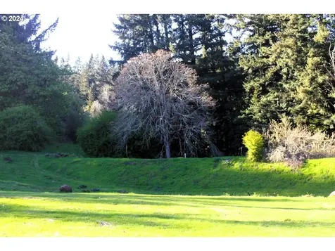 26870 Sw Petes Mountain Road West Linn OR 97068