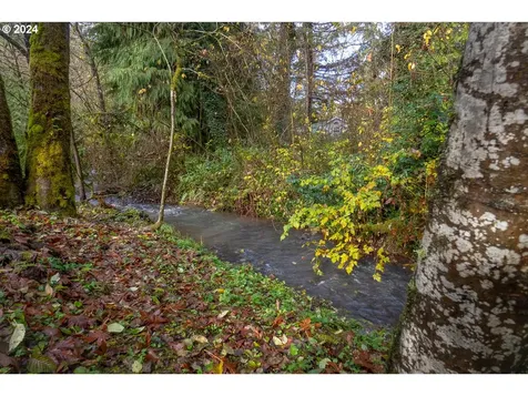 54638 Reid Road Scappoose OR 97056