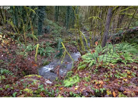 54638 Reid Road Scappoose OR 97056