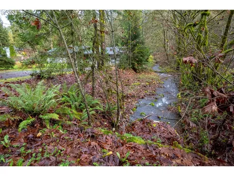 54638 Reid Road Scappoose OR 97056
