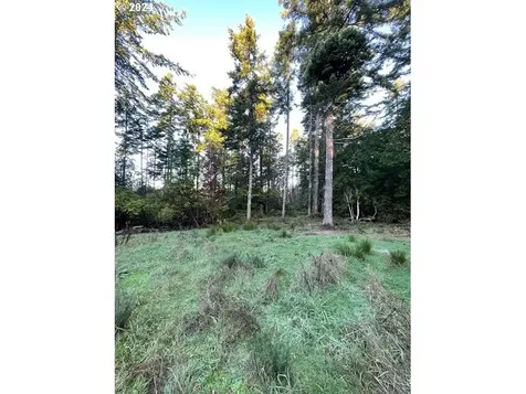88757 Tokyo Lane Bandon OR 97411