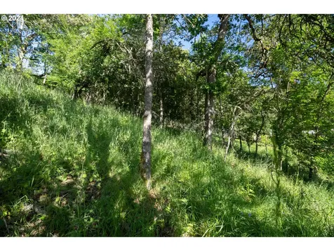 1396 SE Laurel Court Roseburg OR 97470