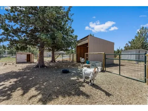 12736 SW Wheat Grass Road Terrebonne OR 97760
