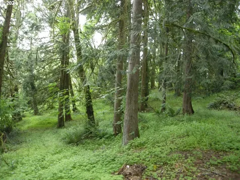 12643 Nw Jackson Quarry Road Hillsboro OR 97124
